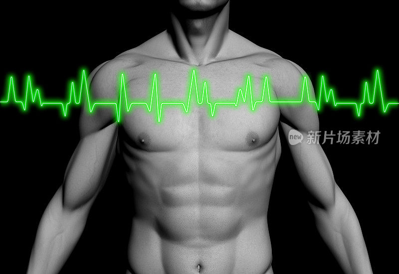 人体心电图(ECG / EKG)